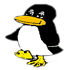 A Pinguin Tim